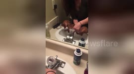 Newsflare Edit - Sausage Dog Penny Swims!