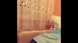 Cat and ghostly arm