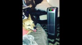 When your hot but still like the way the heater feels