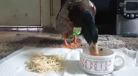 Spaghetti lunch...TURN ME UP