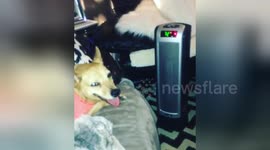 Newsflare Edit - When your hot but still like the way the heater feels