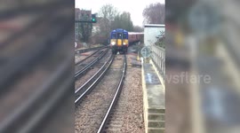 Hilarious moment train delayed after swan refuses to get off track for two miles