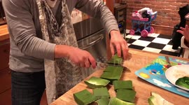 Cooking The Aloe Vera Plant