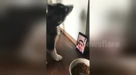 Newsflare Edit - Kiko face timing part 2!