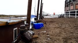 Blakeney Quay in disarray following Friday's tidal surge