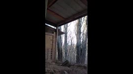 Flying fox!