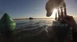 Newsflare Edit - Clumsy dog tries to balance on kayak and falls