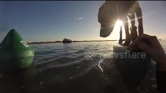 Newsflare Edit - Clumsy dog tries to balance on kayak and falls