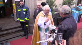 Cats and dogs blessed in Spanish church