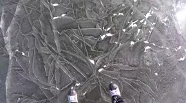 Fishermen catch perches in ice-fishing holes