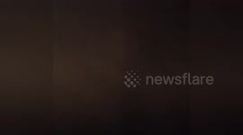 Newsflare Edit -