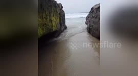Newsflare Edit - La Jolla Shores Park