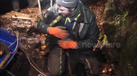 Caving experts rescue dog trapped in deep fox den