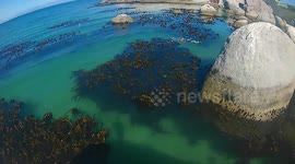 Cape town boulders