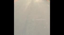 Longboarding