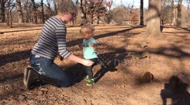 When squirrels attack!