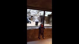 Playdate at the Fort Worth Zoo