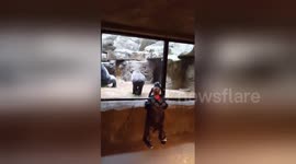 Newsflare Edit - Playdate at the Fort Worth Zoo