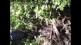 Walk through muddy woods