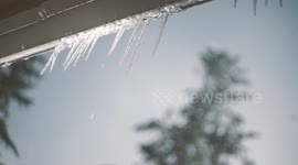Ice and snow thaws in Portland, Oregon