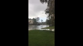 Rainy Day
