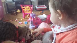 Kitten robs toddler's teddybear