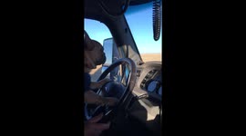 Trucking Frenchie