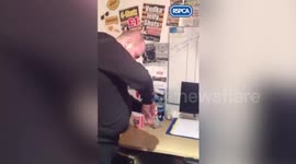 Man filmed swallowing live goldfish is facing jail
