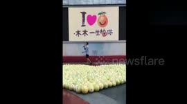 Boy proposes to a girl by forming heart out of 999 Chinese grapefruits being refused