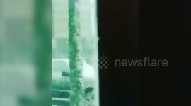 The moment mammoth cargo ship comes within INCHES of crashing into homes