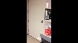 Military surprise homecoming