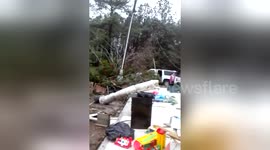 Property destroyed by tornado in Georgia, USA