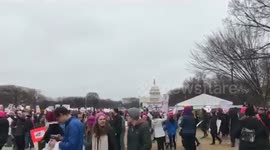 Women's March 2017 in D.C