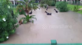 Benidorm flash flood