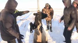 Villagers and police officers rescue a beef trapped in well