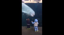 Twins play with Beluga whale at aquarium