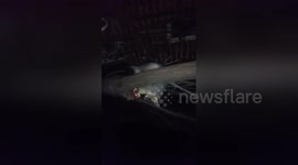 Newsflare Edit - Cute brushtail possum stealing my compost