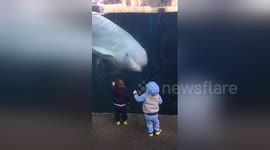 Twins play with Beluga whale at aquarium