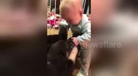 Cute baby reacts to seeing puppy for the first time