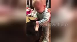 Newsflare Edit - Cute baby reacts to seeing puppy for the first time