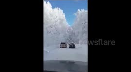 'Freezing fog' turns Chinese city into Winter Wonderland