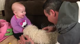 Baby's adorable reaction to meeting family dog for the first time