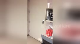 Soldier surprises mum after one year deployment