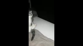The best way to wake up