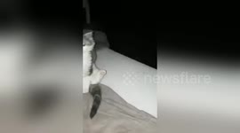 Newsflare Edit - The best way to wake up