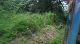My Near Death Experience on Train in Sri Lanka: Al Borde de la Muerte en un Tren en Sri Lanka