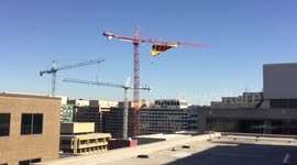 Anti-Donald Trump Greenpeace protesters unfurl banner from crane that reads