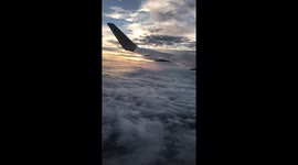 Miami Flight