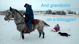 Horsedrawn Toboggan Ride