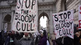 UK: London Badger March and Silent Vigil Outside DEFRA